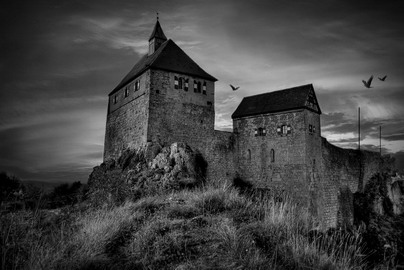 Burg mit Krhen